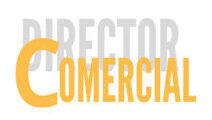 Contratar un Director Comercial